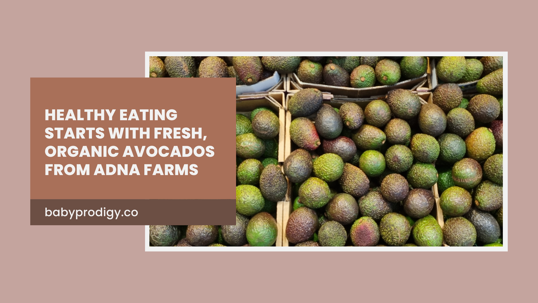 Healthy Eating Starts with Fresh, Organic Avocados from Adna Farms