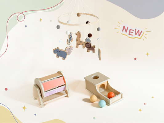 Montessori Play Kit: Baby's Firsts